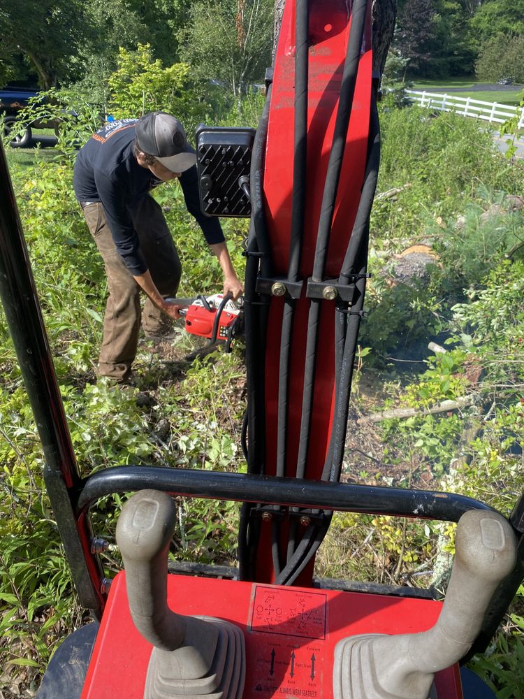 Rileys Tree Removal - tree service in Hadley, NY