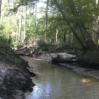 Hogtown Creek Greenway - Parks Near Me - Gainesville, Florida