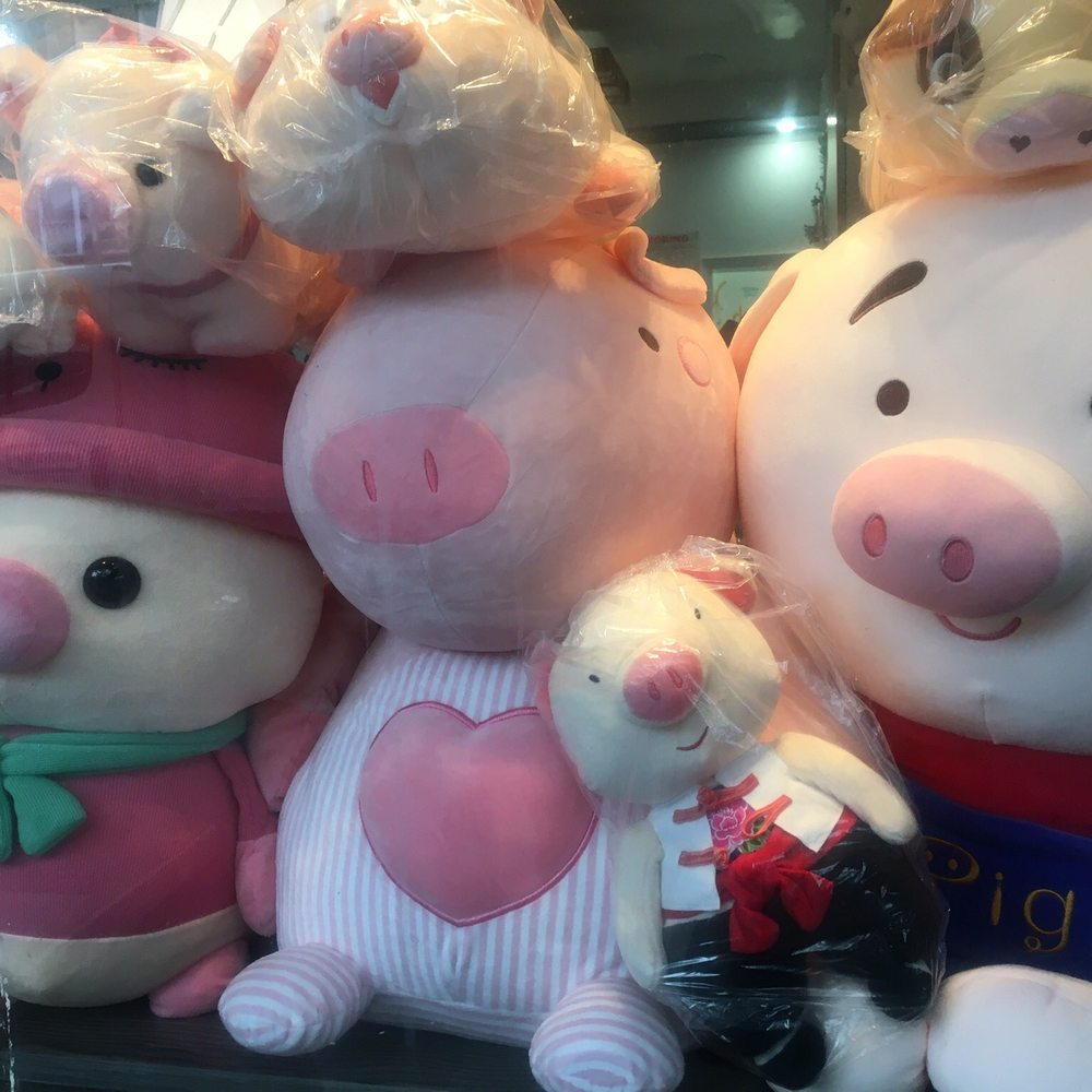 Pig Pig Cafe - Bubble Tea Near Me - Brooklyn, New York Pig Pig Cafe - Bubble Tea Near Me - Brooklyn, New York