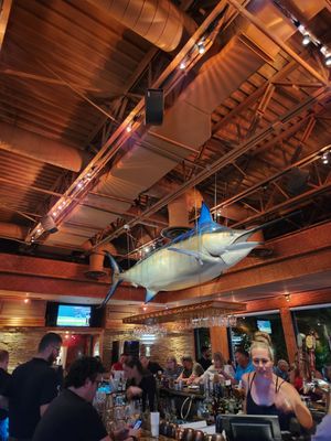 Bimini Twist by null