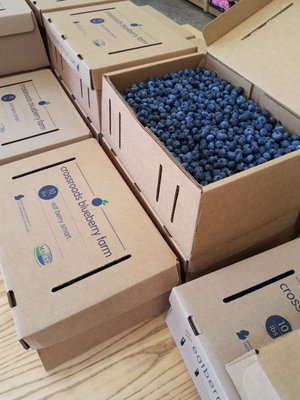Crossroads Blueberry Market by null
