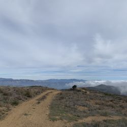 Tequepis Trail - Top!!