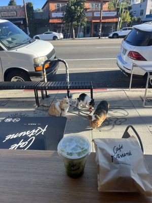 Café Kitsuné by null