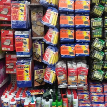 99 Cents Only Stores - Pest control - Party Supplies Near Me - Pico Rivera, California 99 Cents Only Stores - Pest control - Party Supplies Near Me - Pico Rivera, California