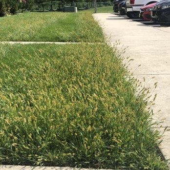 Premier Lawn Care - a row of cars parked on the side of the road - Lawn Services Near Me - Beverly, New Jersey