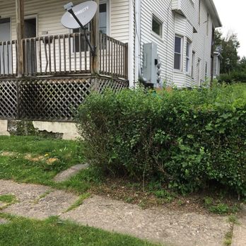Lawn Love Lawn Care - The other side of the yard... overgrown and neglected - Gardeners Near Me Lawn Love Lawn Care - The other side of the yard... overgrown and neglected - Gardeners Near Me
