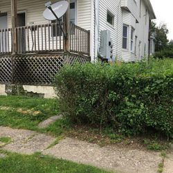 Lawn Love Lawn Care - The other side of the yard... overgrown and neglected
