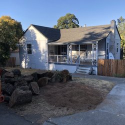 Best Palm Tree Services Near Me February 2020 Find Nearby Palm