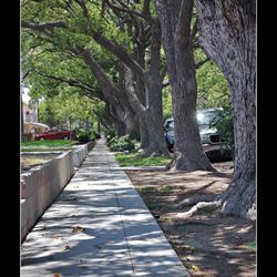 Banning Park Historic Preservation Overlay Zone - Banning Wrigley HPOZ Lakme Ave The most beautiful street in Wilmington