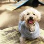Barkmaster Dog Park