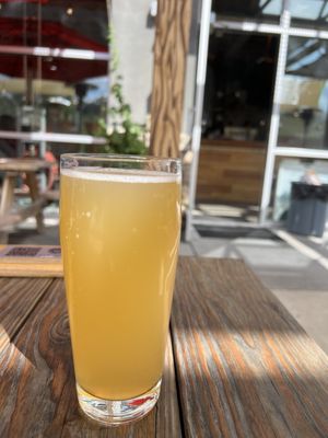 Green Mountain Beer Company by null