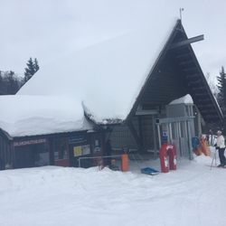 Skarsnuten