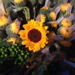 Marvin-Reeder Florists