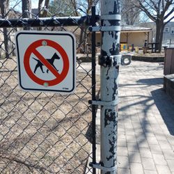 McCann Park - No dogs allowed in McCann Park.