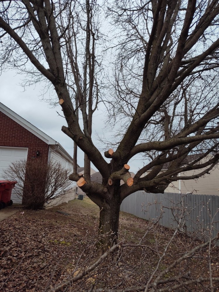 Slide of Tracy's Handyman