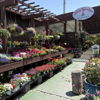 Shore Gardens Nursery - Nurseries & Gardening Near Me - San Clemente, California