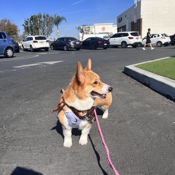 Happy Paws on Grand - Pet Groomers Near Me - Santa Ana, California Happy Paws on Grand - Pet Groomers Near Me - Santa Ana, California