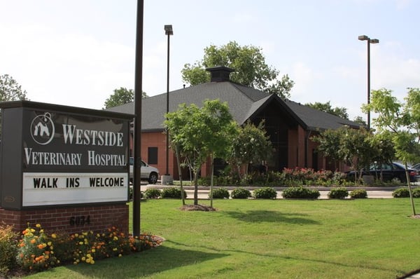vca westside animal clinic