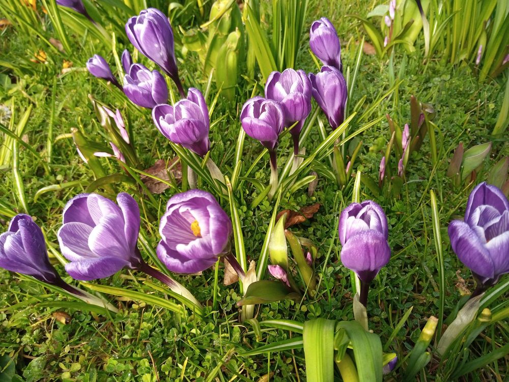 TRAVELODGE HOTEL DUBLIN AIRPORT NORTH ‘SWORDS’ 11 Photos UPDATED