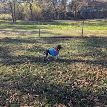 Pecan Park - Looking at a squirrel on the path - Parks Near Me - Orangevale, California