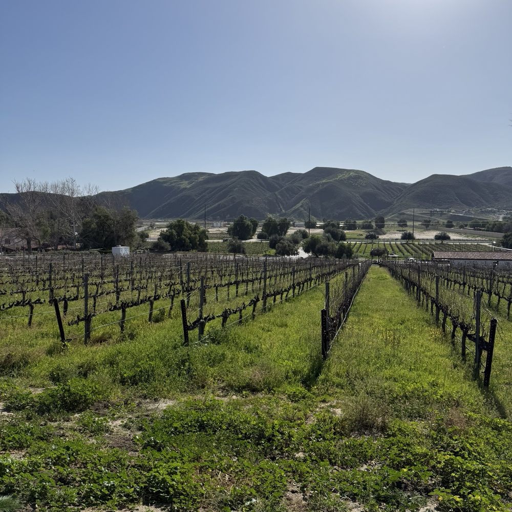 Somerset Vineyard and Winery - The view - Wineries Near Me - Temecula, California Somerset Vineyard and Winery - The view - Wineries Near Me - Temecula, California