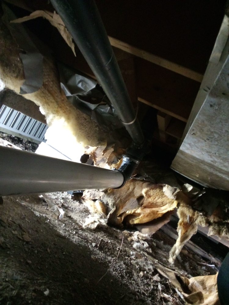 Slide of Handyman Plus