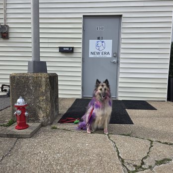 New Era Dog Training - Pet Training Near Me - North Royalton, Ohio New Era Dog Training - Pet Training Near Me - North Royalton, Ohio