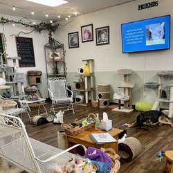 Treetops Kitty Cafe