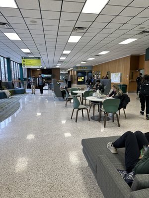 Michigan State University by null