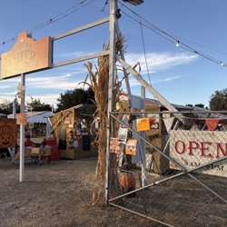 Queens Pumpkin Patch