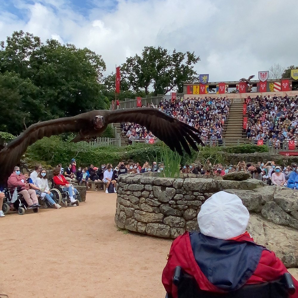 Le Puy du Fou - Vultures approaching - Performing Arts Near Me - Les Epesses, 85