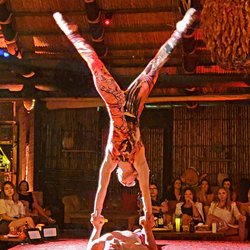 Palapa - Orientica