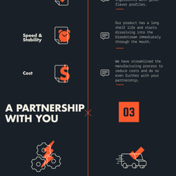 Vector Graphics Guru - Infographic