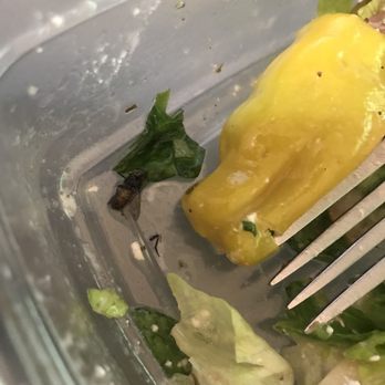 Panera Bread - Sandwiches Near Me - Garland, Texas