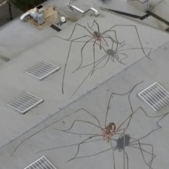 Space Needle - I spy... giant spiders! - Landmarks & Historical Buildings Near Me - Seattle, Washington Space Needle - I spy... giant spiders! - Landmarks & Historical Buildings Near Me - Seattle, Washington