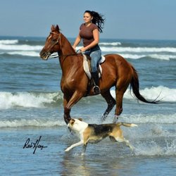 Double Flush Stables - Christie (owner/trailboss ) shanty Irish 1994-2017. Also doggie- she's everyone's best friend