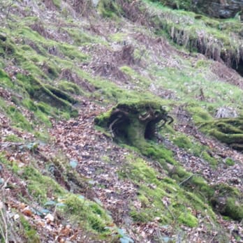 Pistyll Rhaeadr - Landmarks & Historical Buildings Near Me - Llanrhaeadr-ym-Mochnant, POW