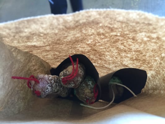 Les Cochons Tout Ronds by null