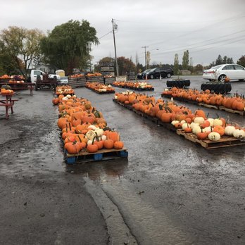 Kelly's Farm Market - Pumpkins - Fruits & Veggies Near Me - Hilton, New York Kelly's Farm Market - Pumpkins - Fruits & Veggies Near Me - Hilton, New York