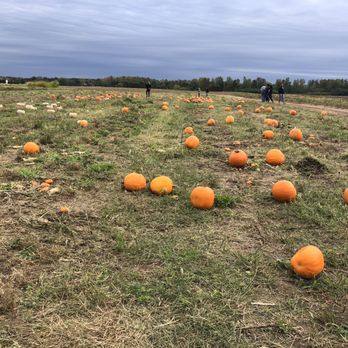 Wea Creek Orchard - Pick Your Own Farms Near Me - Lafayette, Indiana Wea Creek Orchard - Pick Your Own Farms Near Me - Lafayette, Indiana