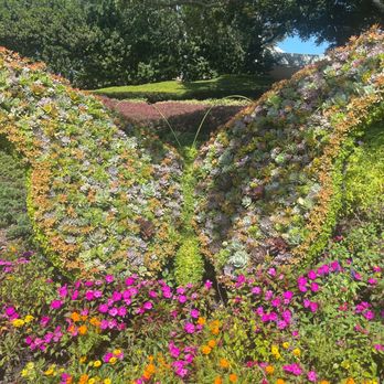 Bambi's Butterfly House - Botanical Gardens Near Me - Orlando, Florida