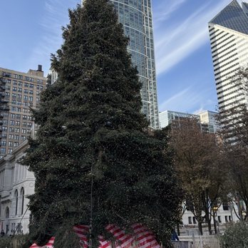 Grant Park - Christmas tree - Parks Near Me - Chicago, Illinois