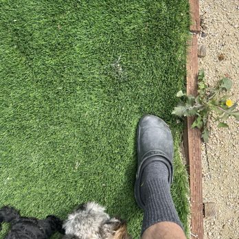 The Right Solution Home Remodeling - Hole in turf - General Contractors Near Me - Sherman oaks, California
