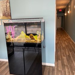Blue Brook Massage Therapy
