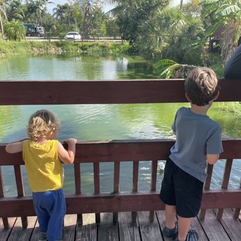 Springtime Farms - Feeding fish - Nurseries & Gardening Near Me - North Fort Myers, Florida Springtime Farms - Feeding fish - Nurseries & Gardening Near Me - North Fort Myers, Florida