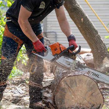 Alptex Tree Service - Tree Services Near Me Alptex Tree Service - Tree Services Near Me
