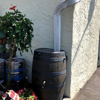 Bubba’s Burrito Bar - Water barrel for rain impressive! - Tacos Near Me - Islip, New York Bubba’s Burrito Bar - Water barrel for rain impressive! - Tacos Near Me - Islip, New York