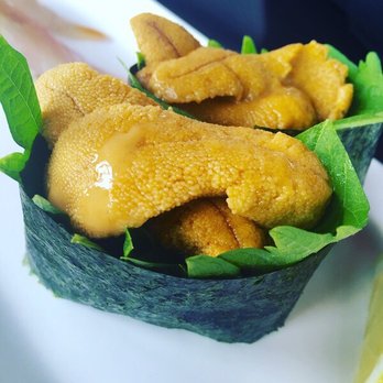 Shiku Sushi - Sushi Bars Near Me - La Jolla, California Shiku Sushi - Sushi Bars Near Me - La Jolla, California