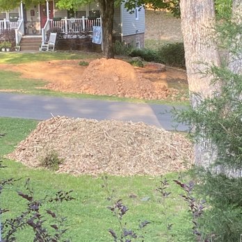 KO Tree Services - Tree Services Near Me - Charlotte, North Carolina