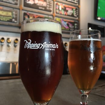 Tripping Animals Brewing - Odins Revenge and monkondor - Breweries Near Me - Doral, Florida